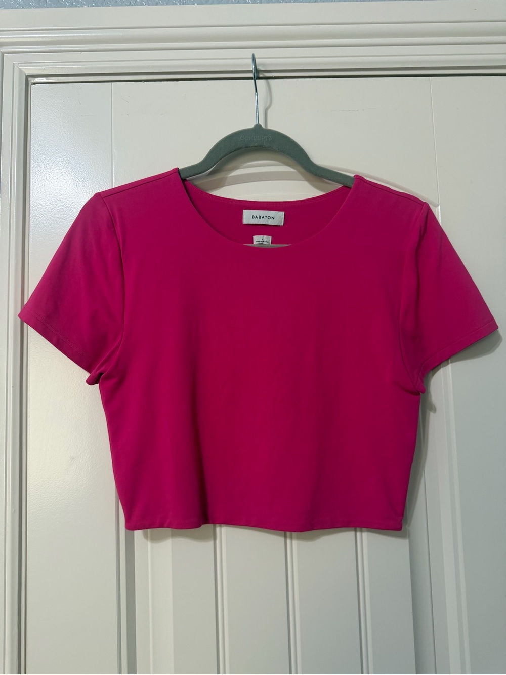 Aritzia Contour Crop Tee